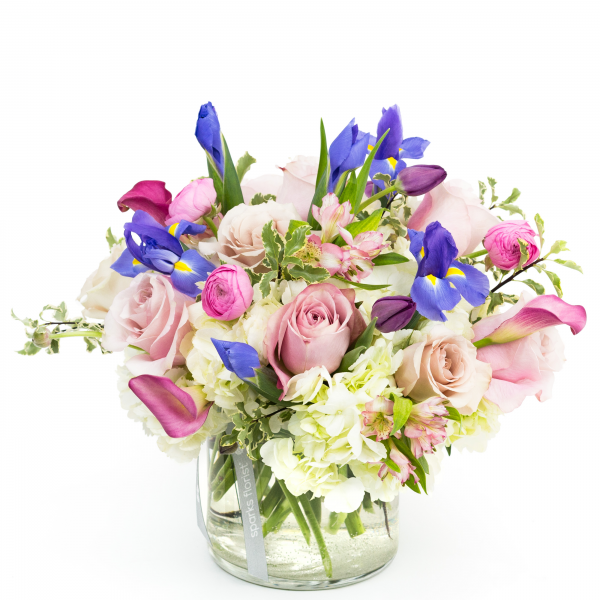 Spring Collage Product -  165.00