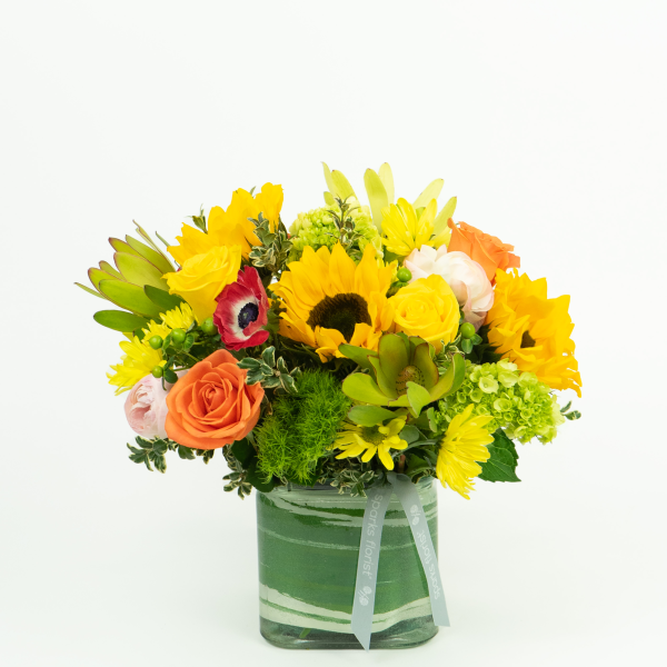 Citrus Smiles Product -  155.00