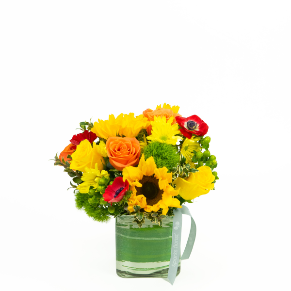 Citrus Smiles Product -  105.00